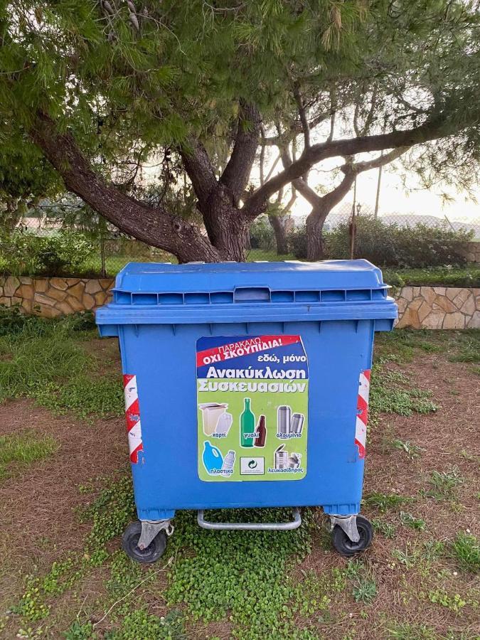 Apartament Stelios *