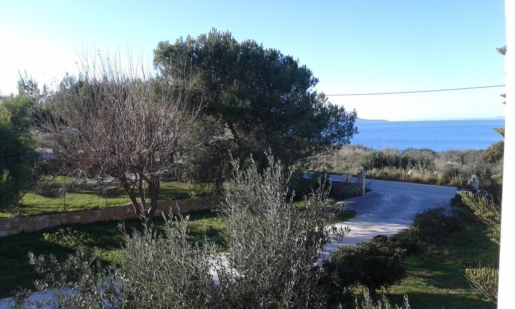 Apartment Stelios
